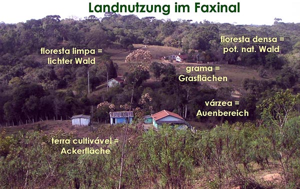 Abbildung: Faxinal Sete Saltos de Baixo mit Landnutzungsklassifikation